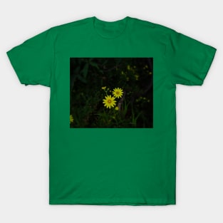 relaxing your eyes T-Shirt